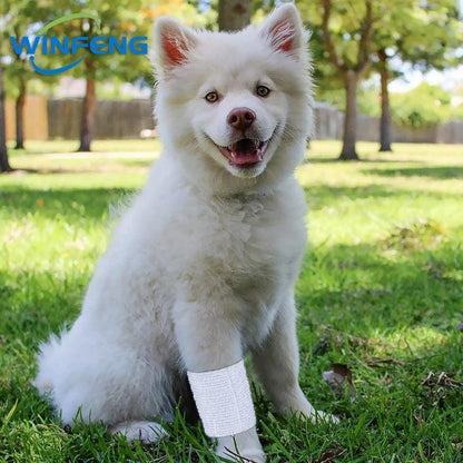 Bandages Élastiques PBT d’Urgence – Fournitures Médicales pour Premiers Soins (5 Pièces)